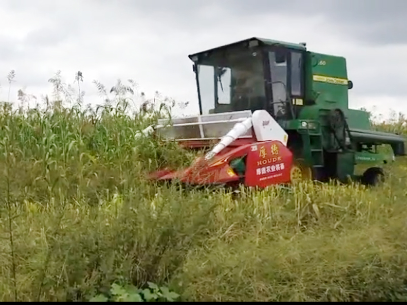 �Ϡ�L60ʮ�мt�t��