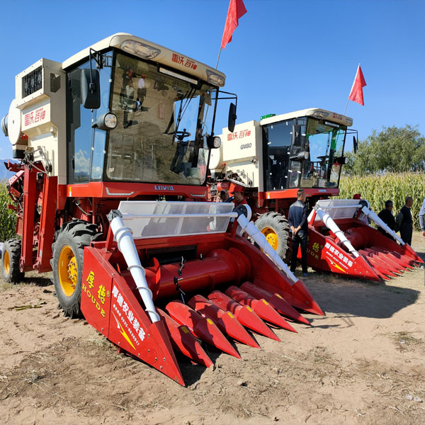 �����ո�C(j��)�ĝ�(r��n)�����B(y��ng)ע�����(xi��ng)