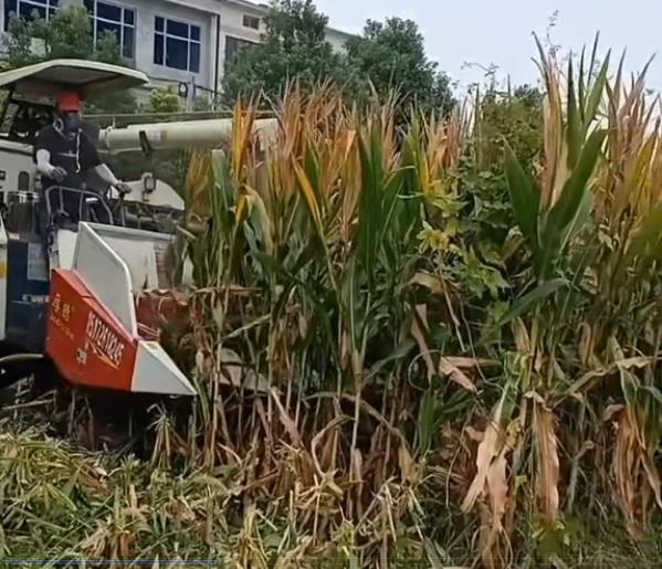 ������׸��_(t��i)�M�����^