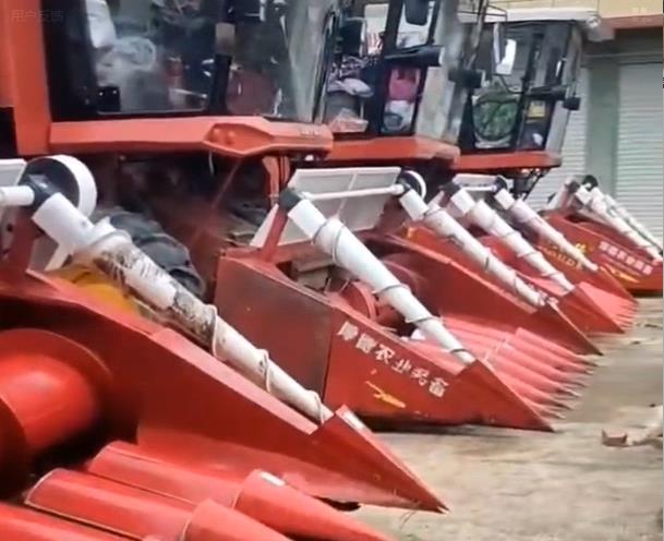 ��¸��_(t��i)�Ñ�(h��)����